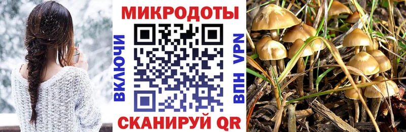 Псилоцибиновые грибы GOLDEN TEACHER  Качканар 